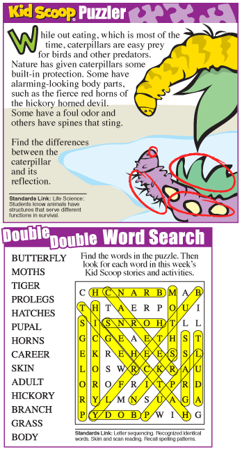 caterpillars_answers