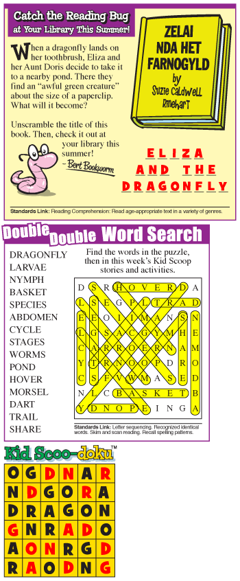dragonflies-answers