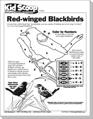 de-blackbirds