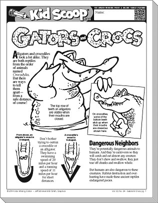 de-gatorscrocs