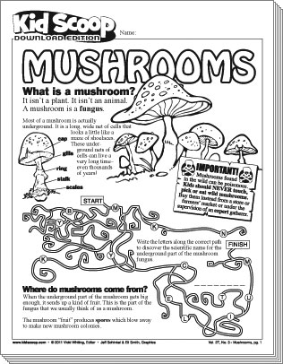de-mushrooms