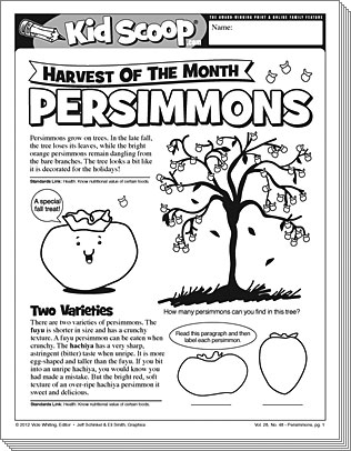 de-persimmons