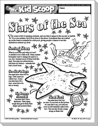 Stars of the Sea | Kid Scoop