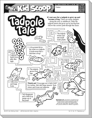 de-tadpoles