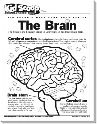 de-thebrain