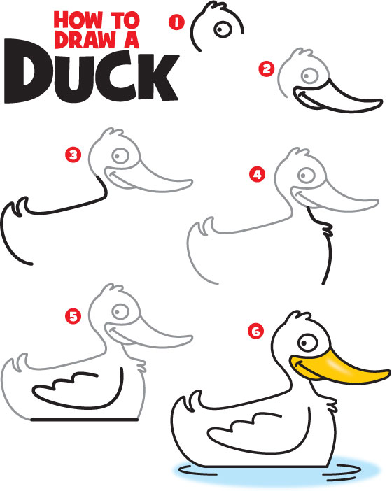 How to Draw a Duck | Kid Scoop