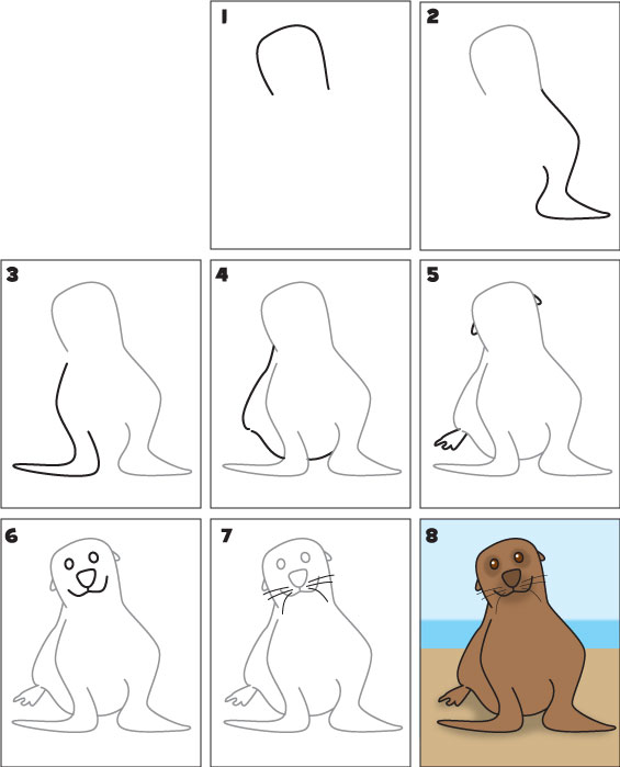 how-to-draw-a-sea-lion