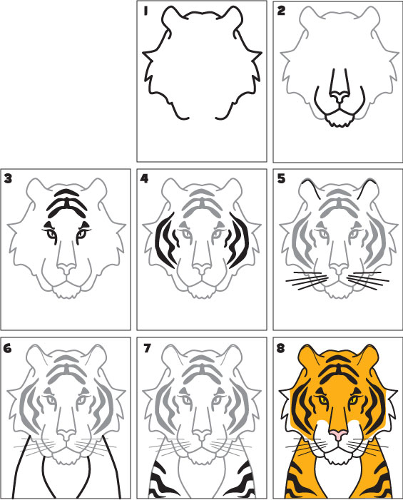 how-to-draw-a-tiger