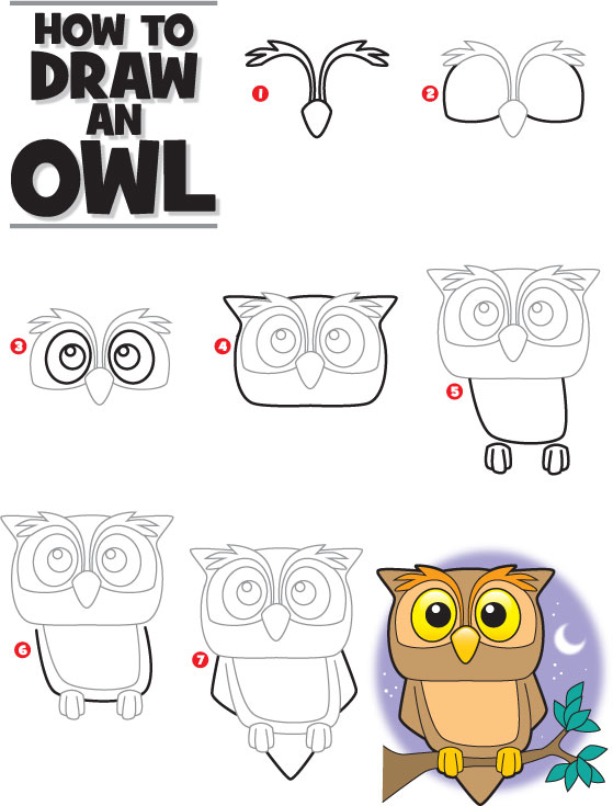 How To Draw An Owl Kid Scoop