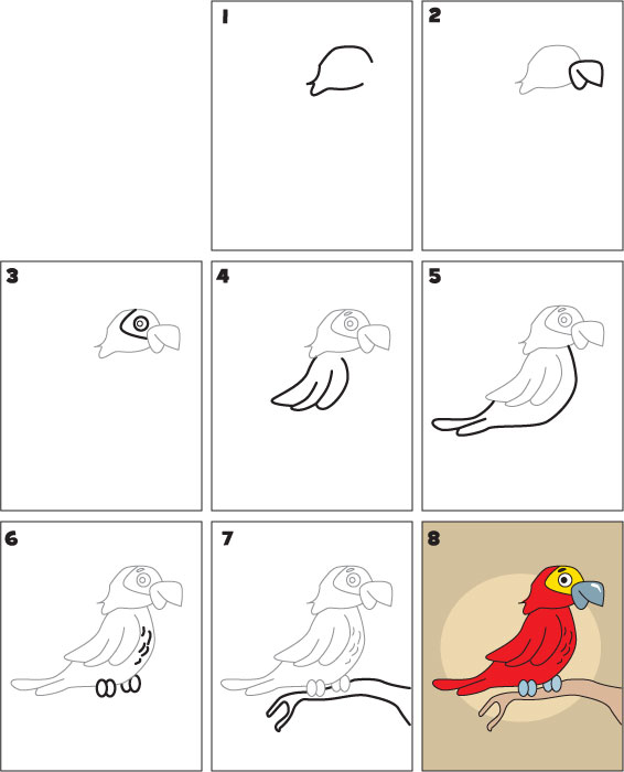 kid-scoop-how-to-draw-a-parrot