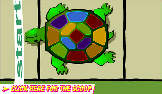 musical-turtle