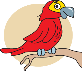 parrots-kids